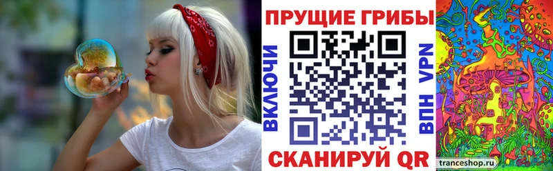 Псилоцибиновые грибы GOLDEN TEACHER  hydra ссылки  Ярославль 