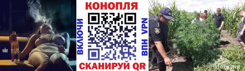 Бошки марихуана LSD WEED  OMG ТОР  Ярославль 